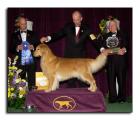 Tristan's father Andy taking a Group 1 At Westminster 2006