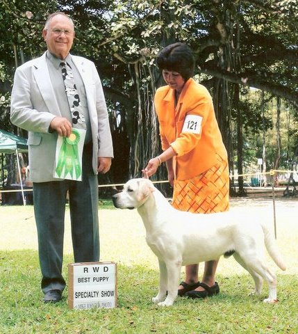 Ward taking Best Puppy and  RWD at Lab Specialty June 2006